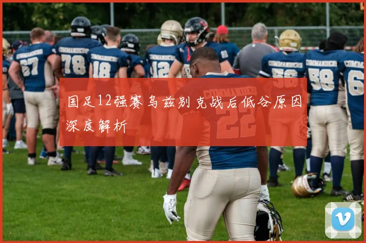 国足12强赛乌兹别克战后低谷原因深度解析